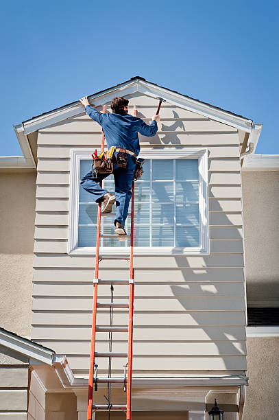 Best Fascia and Soffit Installation  in Frankfort, IL